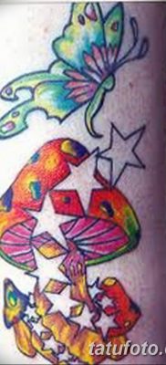 фото рисунка тату гриб 27.03.2019 №056 — tattoo mushroom — tatufoto.com