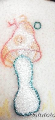 фото рисунка тату гриб 27.03.2019 №059 — tattoo mushroom — tatufoto.com