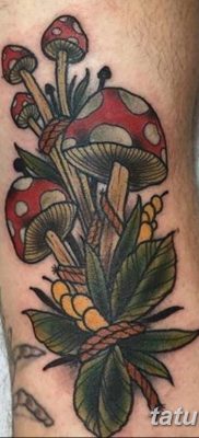 фото рисунка тату гриб 27.03.2019 №061 — tattoo mushroom — tatufoto.com