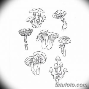 Черно-белый эскиз татуировки с изображением нескольких видов грибов. Линейный рисунок с детальной проработкой шляпок и ножек.