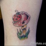 фото рисунка тату гриб 27.03.2019 №102 - tattoo mushroom - tatufoto.com
