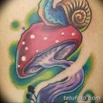 фото рисунка тату гриб 27.03.2019 №123 - tattoo mushroom - tatufoto.com