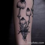 Фото татуировки в стиле blackwork с изображением трех грибов и корней. Черно-белый рисунок с детализированными шляпками и тонкими линиями.