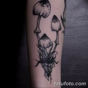 Фото татуировки в стиле blackwork с изображением трех грибов и корней. Черно-белый рисунок с детализированными шляпками и тонкими линиями.