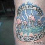 Фото тату с изображением грибов и надписи "Walk me out into the morning dew". Рисунок выполнен в ярких цветах с использованием плавных линий.