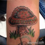 фото рисунка тату гриб 27.03.2019 №236 - tattoo mushroom - tatufoto.com