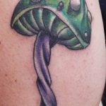 фото рисунка тату гриб 27.03.2019 №247 - tattoo mushroom - tatufoto.com