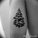 фото тату Ёлки 05.03.2019 №010 - photo tattoo Christmas trees - tatufoto.com