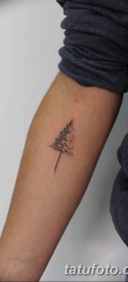 фото тату Ёлки 05.03.2019 №036 — photo tattoo Christmas trees — tatufoto.com