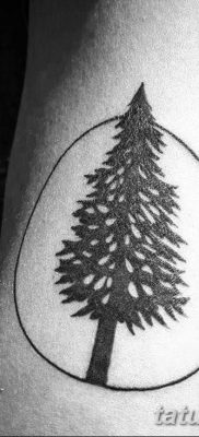 фото тату Ёлки 05.03.2019 №045 — photo tattoo Christmas trees — tatufoto.com