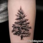 фото тату Ёлки 05.03.2019 №078 - photo tattoo Christmas trees - tatufoto.com
