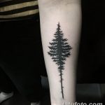 фото тату Ёлки 05.03.2019 №102 - photo tattoo Christmas trees - tatufoto.com