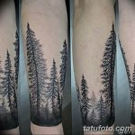 фото тату Ёлки 05.03.2019 №114 - photo tattoo Christmas trees - tatufoto.com
