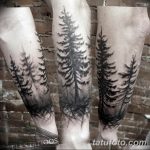 фото тату Ёлки 05.03.2019 №122 - photo tattoo Christmas trees - tatufoto.com