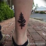 фото тату Ёлки 05.03.2019 №127 - photo tattoo Christmas trees - tatufoto.com