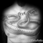 фото тату змея скелет 26.03.2019 №023 - snake skeleton tattoo - tatufoto.com