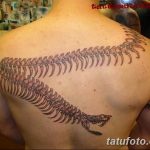 фото тату змея скелет 26.03.2019 №024 - snake skeleton tattoo - tatufoto.com