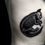 фото тату скелет кота 25.03.2019 №002 - cat skeleton tattoo - tatufoto.com