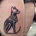 фото тату скелет кота 25.03.2019 №026 - cat skeleton tattoo - tatufoto.com