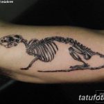 фото тату скелеты животных 25.03.2019 №015 - animal skeletons tattoo - tatufoto.com