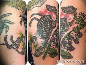 Фото тату: оригинальный рисунок, сочетающий в себе скелет животного, ветку с ягодами и цветы, выполненный в ярких и насыщенных цветах.