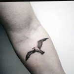 фото тату чайка 06.03.2019 №002 - photo tattoo seagull - tatufoto.com