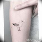 фото тату чайка 06.03.2019 №012 - photo tattoo seagull - tatufoto.com
