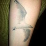 фото тату чайка 06.03.2019 №022 - photo tattoo seagull - tatufoto.com