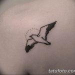 фото тату чайка 06.03.2019 №023 - photo tattoo seagull - tatufoto.com