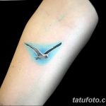 фото тату чайка 06.03.2019 №028 - photo tattoo seagull - tatufoto.com
