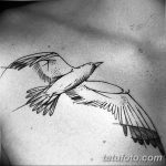 фото тату чайка 06.03.2019 №029 - photo tattoo seagull - tatufoto.com