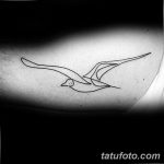 фото тату чайка 06.03.2019 №030 - photo tattoo seagull - tatufoto.com