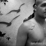 фото тату чайка 06.03.2019 №034 - photo tattoo seagull - tatufoto.com