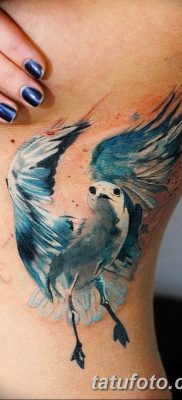 фото тату чайка 06.03.2019 №038 — photo tattoo seagull — tatufoto.com
