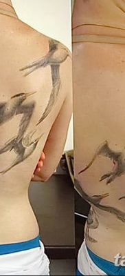 фото тату чайка 06.03.2019 №039 — photo tattoo seagull — tatufoto.com