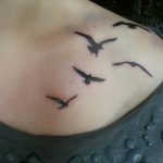 фото тату чайка 06.03.2019 №040 - photo tattoo seagull - tatufoto.com