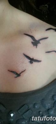 фото тату чайка 06.03.2019 №040 — photo tattoo seagull — tatufoto.com