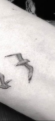 фото тату чайка 06.03.2019 №046 — photo tattoo seagull — tatufoto.com