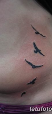 фото тату чайка 06.03.2019 №048 — photo tattoo seagull — tatufoto.com