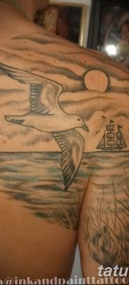 фото тату чайка 06.03.2019 №056 — photo tattoo seagull — tatufoto.com