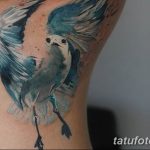 фото тату чайка 06.03.2019 №062 - photo tattoo seagull - tatufoto.com