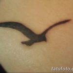 фото тату чайка 06.03.2019 №065 - photo tattoo seagull - tatufoto.com
