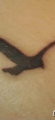 фото тату чайка 06.03.2019 №065 — photo tattoo seagull — tatufoto.com