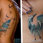 фото тату чайка 06.03.2019 №077 - photo tattoo seagull - tatufoto.com