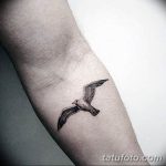 фото тату чайка 06.03.2019 №079 - photo tattoo seagull - tatufoto.com