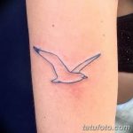 фото тату чайка 06.03.2019 №083 - photo tattoo seagull - tatufoto.com