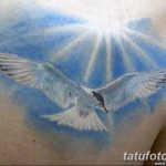 фото тату чайка 06.03.2019 №087 - photo tattoo seagull - tatufoto.com