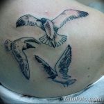 фото тату чайка 06.03.2019 №091 - photo tattoo seagull - tatufoto.com