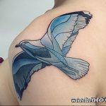 фото тату чайка 06.03.2019 №093 - photo tattoo seagull - tatufoto.com