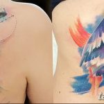 фото тату чайка 06.03.2019 №094 - photo tattoo seagull - tatufoto.com